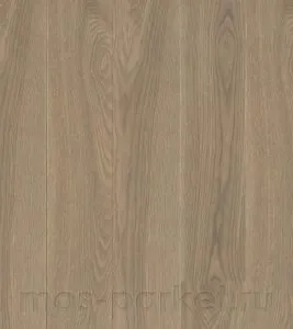 10313136A5254175 PRETIGE 138 CYCLONE
