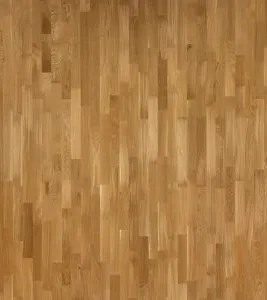 30111781A0100124 OAK Tundra