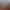 Balsan Flore 0580