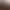 529100 13,5*173*2200