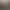 DOLLKEN 1144 8*2500