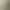 30111781A2021175 BORA OILED 3S