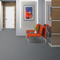 Balsan L 480 - 0990, photo 3