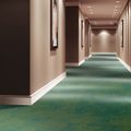 Balsan Tramontane 0240, фото 3