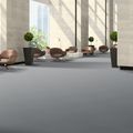 Balsan L 480 - 0990, photo 4