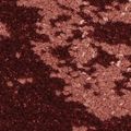 Balsan Flore 0580, фото 2