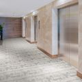 Balsan Ganius Planks 0620, photo 3