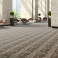 Balsan Ganius Planks 0640, rasm 4