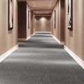 Balsan Sky 0950, photo 2