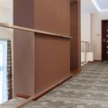 Balsan Ganius Planks 0640, rasm 5