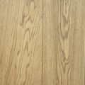 10111208A2019175 PRESTIGE BISE, photo 3